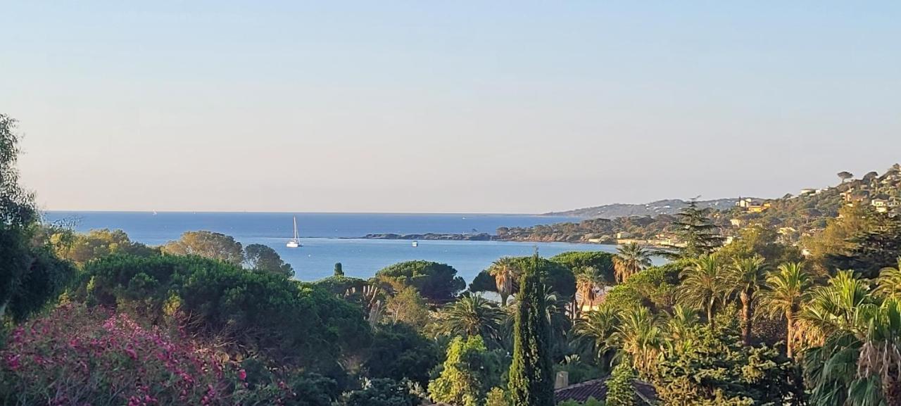 Larimar Etablissement- 200 M De La Mer Sainte-Maxime Exteriör bild